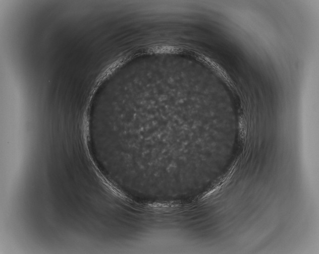 X0000116480725200912161251