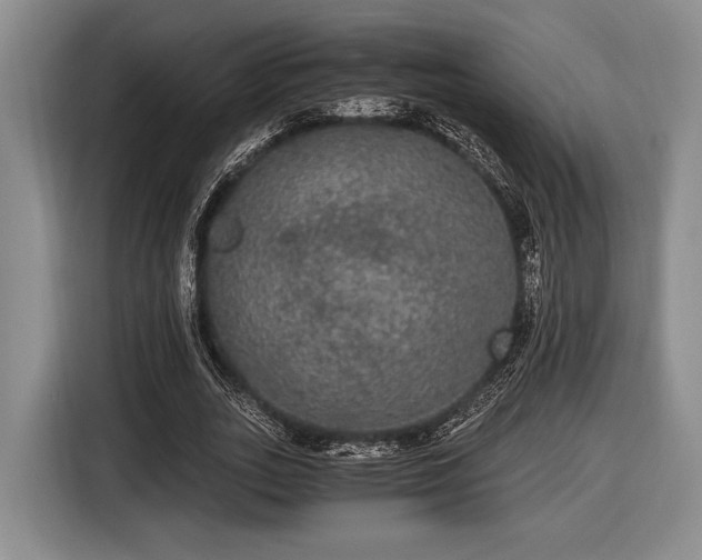 X0000116480727200912161251