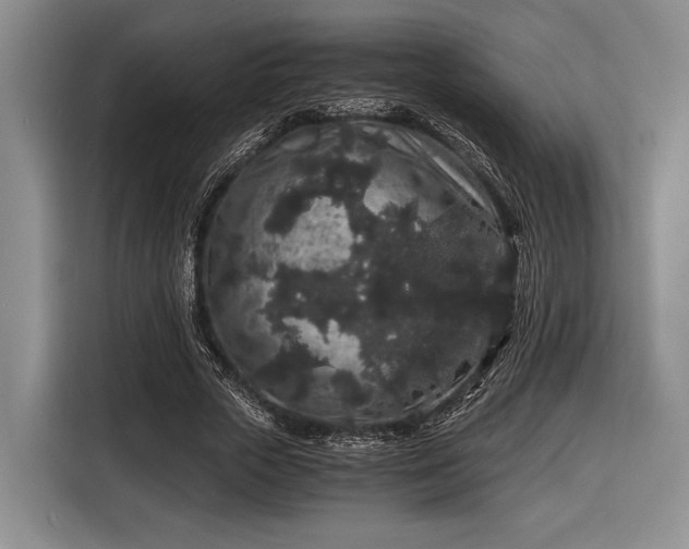 X0000116480729200912161251