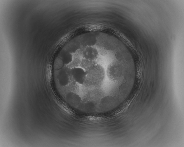 X0000116480733200912161251