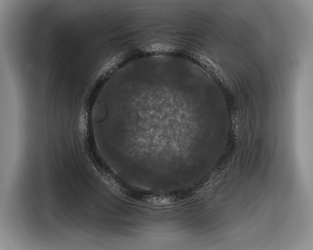 X0000116480735200912161252