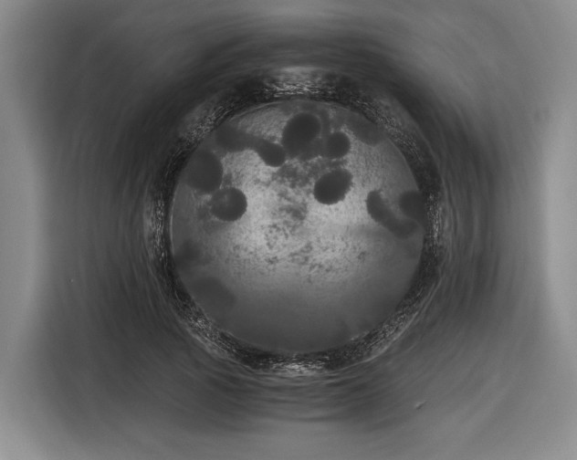 X0000116480737200912161252