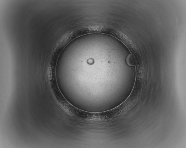 X0000116480738200912161252