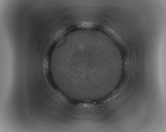 X0000116480739200912161252