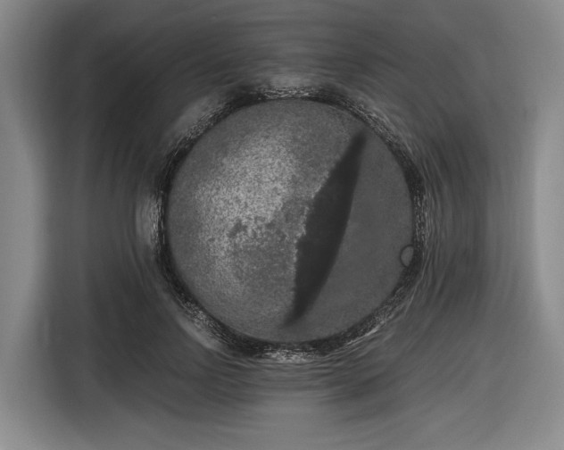 X0000116480742200912161252