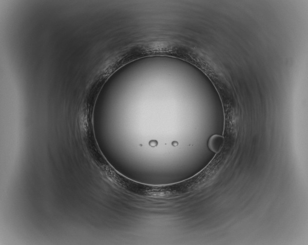 X0000116480746200912161252