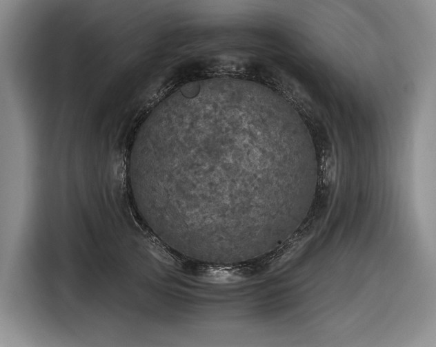 X0000116480753200912161252