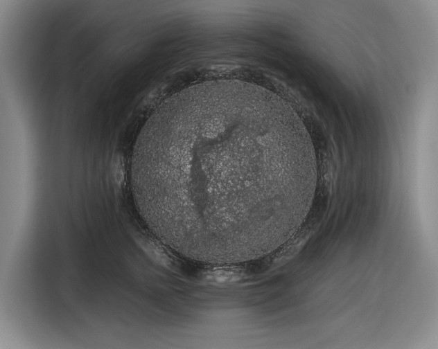 X0000116480758200912161252