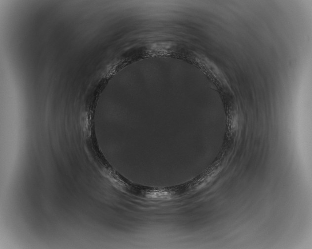 X0000116480759200912161252