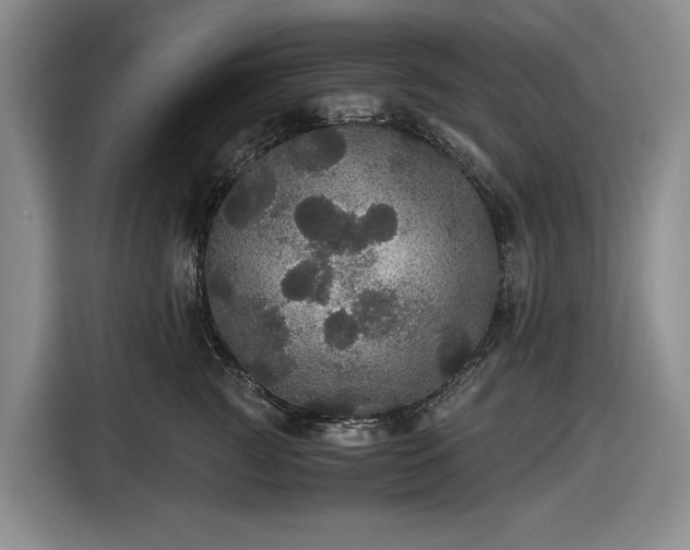 X0000116480761200912161252