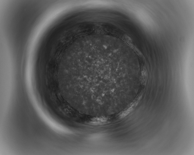 X0000116480765200912161252