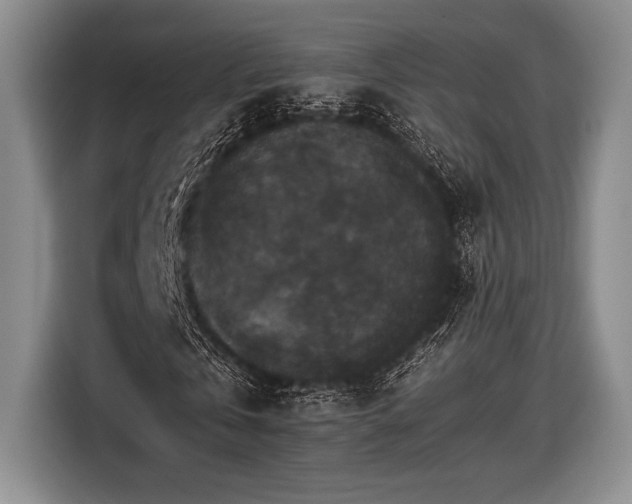 X0000116480769200912161251