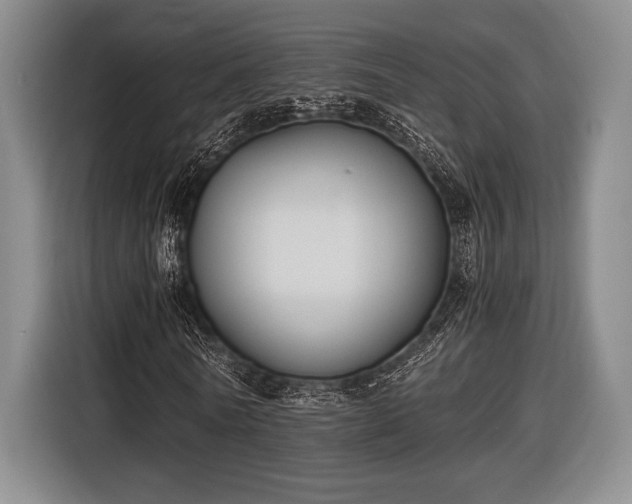 X0000116480770200912161251