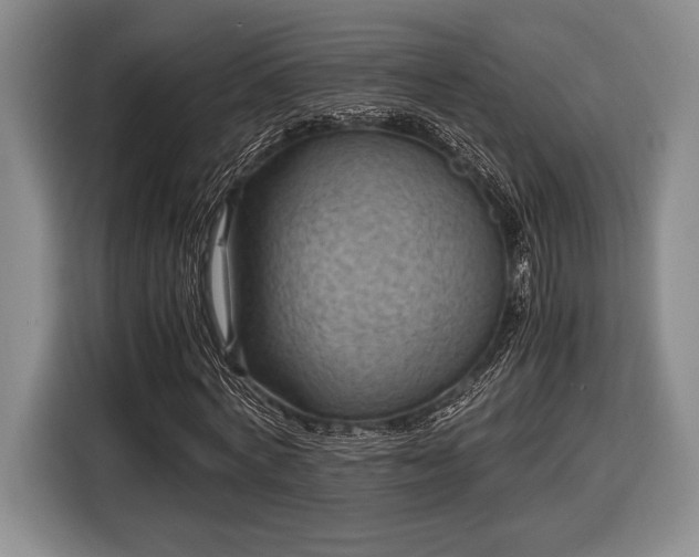 X0000116480772200912161251