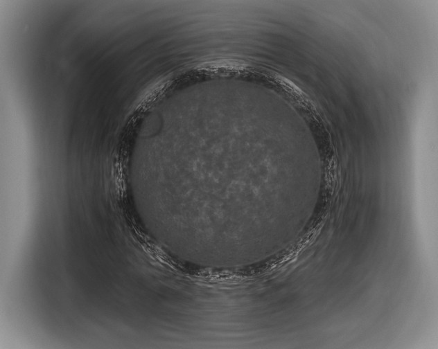 X0000116480774200912161251