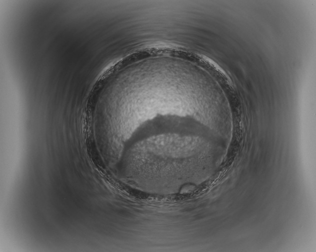 X0000116480775200912161251