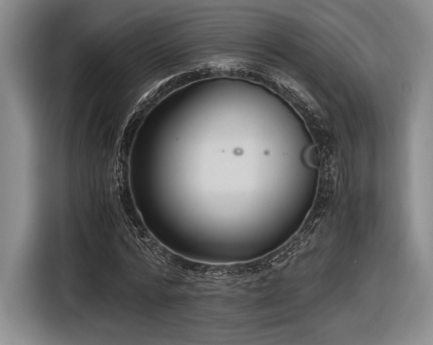 X0000116480776200912161251