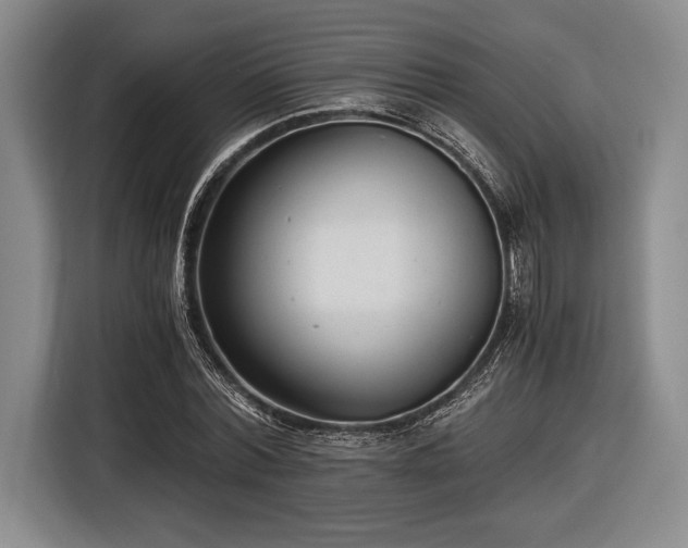 X0000116480780200912161251