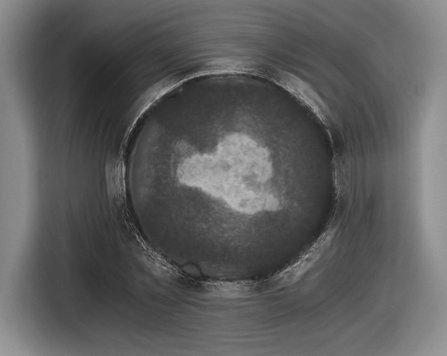 X0000116480781200912161251