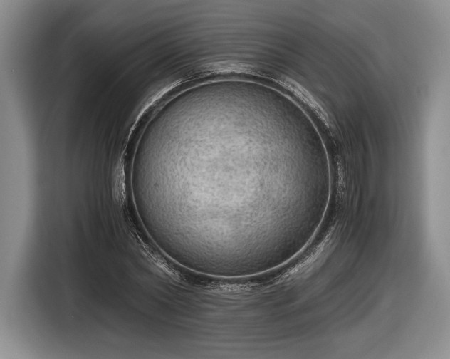 X0000116480782200912161251