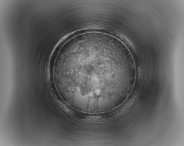 X0000116480784200912161251