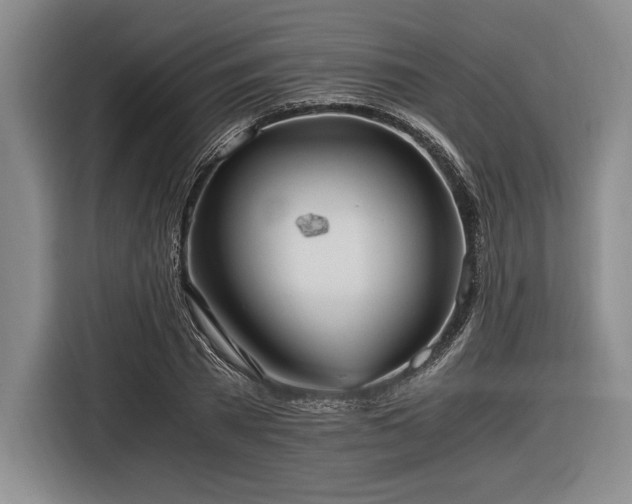 X0000116480785200912161251