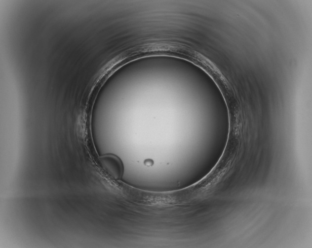 X0000116480786200912161251