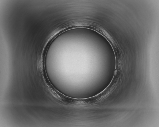 X0000116480787200912161251