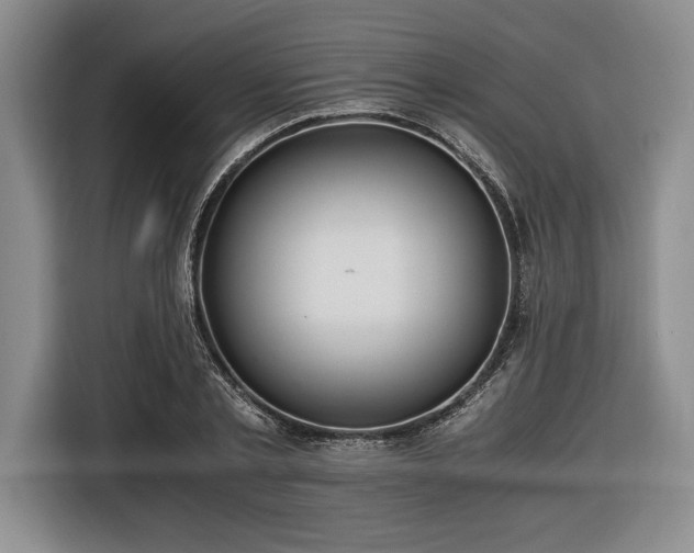 X0000116480789200912161251