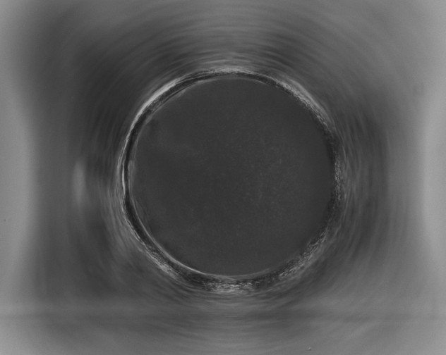 X0000116480790200912161251