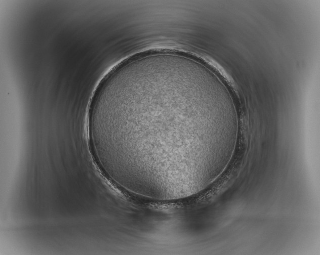 X0000116480791200912161251