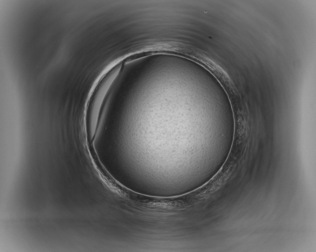 X0000116480792200912161251