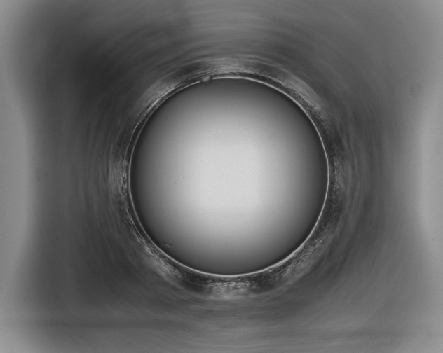 X0000116480793200912161251