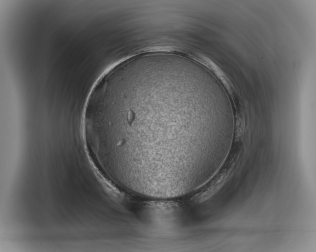 X0000116480795200912161251