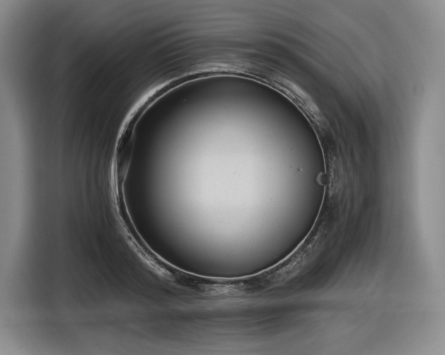 X0000116480796200912161251