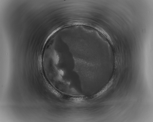 X0000116480798200912161251