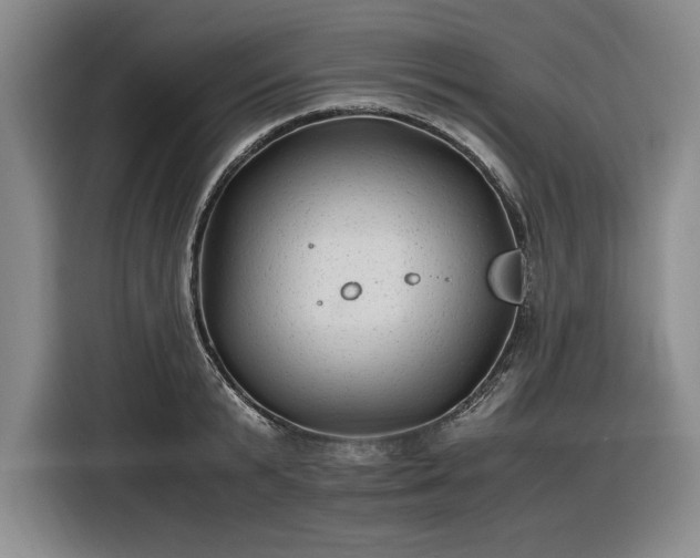 X0000116480799200912161251