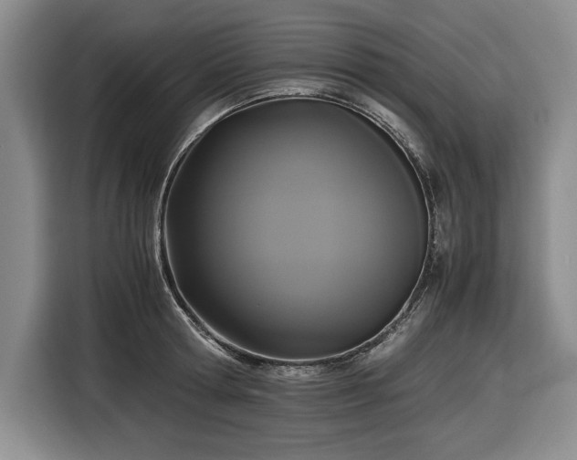 X0000116480802200912161251