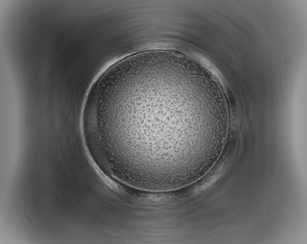 X0000116480803200912161251