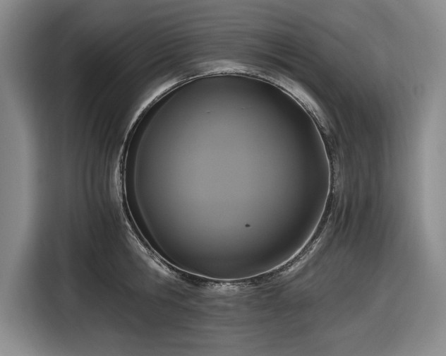 X0000116480806200912161251