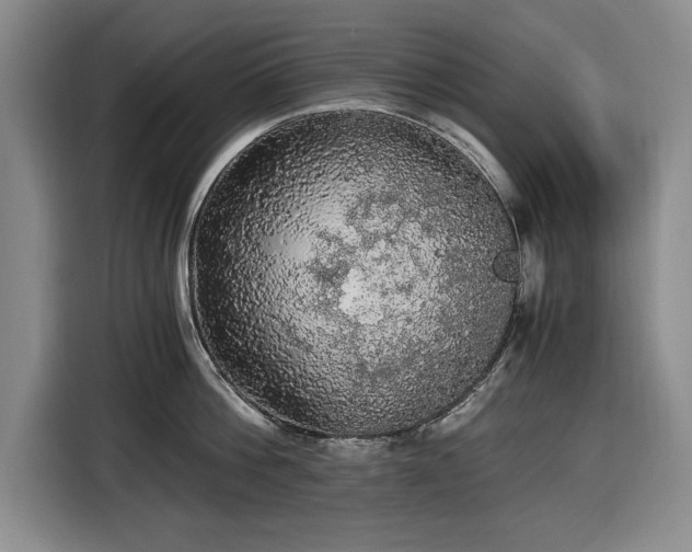 X0000116480812200912161251