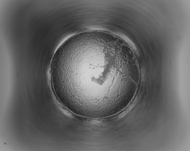 X0000116480814200912161251