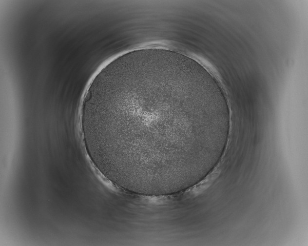 X0000116480816200912161251