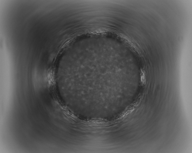 X0000116480819200912161250