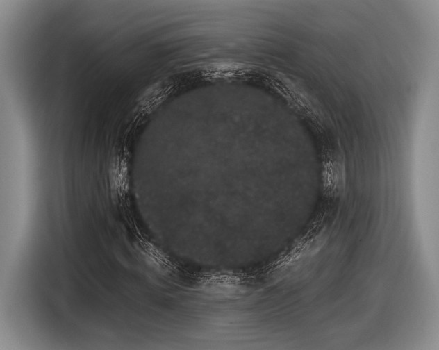 X0000116480820200912161250