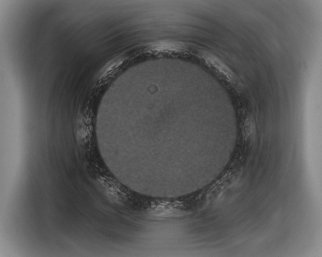 X0000116480824200912161250