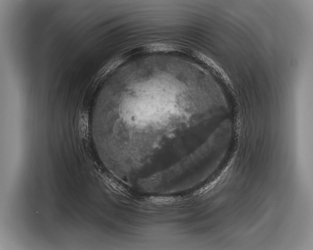 X0000116480825200912161250