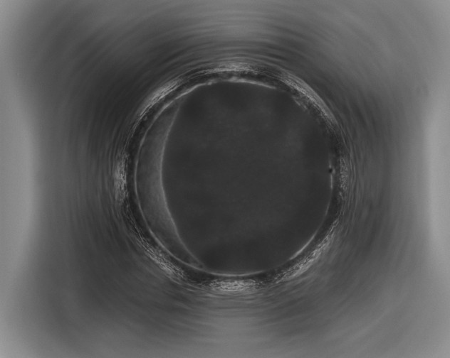 X0000116480826200912161250