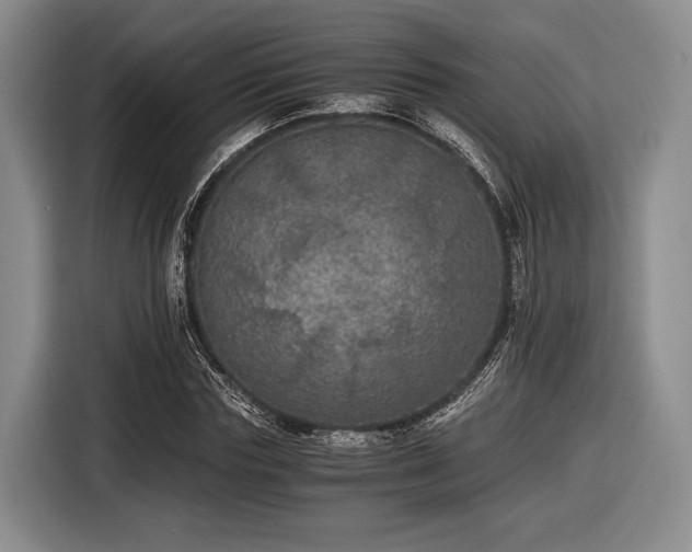 X0000116480827200912161250