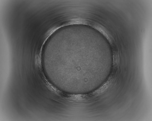 X0000116480828200912161250